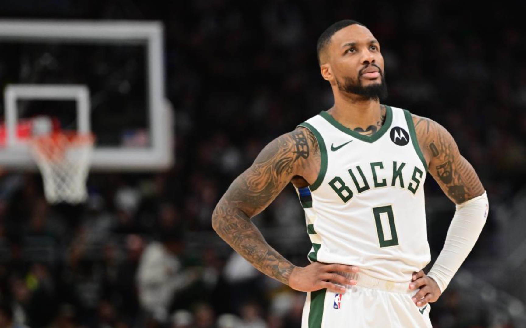 为何越薅越 为何越薅越